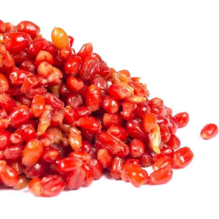 Зерновая смесь MINENKO Royal Plum Wheat (1кг)